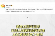 娱乐吃瓜手册
